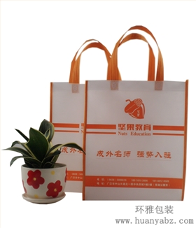 坚果教育无纺布袋