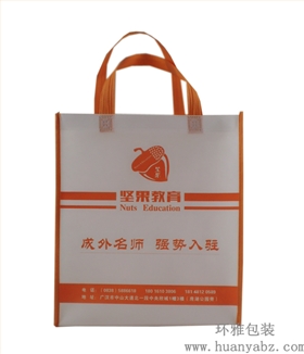 坚果教育学校宣传袋