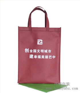 巴中环保袋图