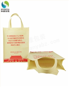 无纺布环保袋助力郫都区学习贯彻党的十九大精神