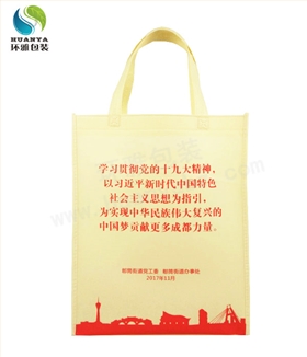 郫筒街道宣传环保手提袋