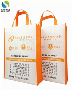 单仁资讯十大牛商分享会宣传用无纺布环保袋由环雅包装提供