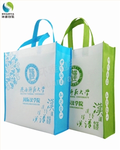 陕西师范大学宣传无纺布手提袋定做于何地?