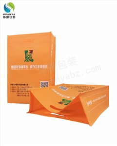 厂家定制教育类无纺布打孔袋 印刷精美宣传效果明显