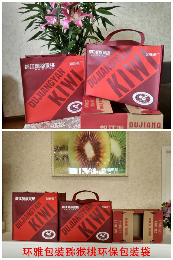 环雅环保袋图片