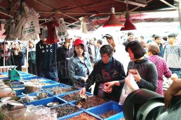 张馨予菜场购物图片2