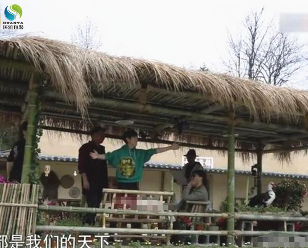 向往的生活图片