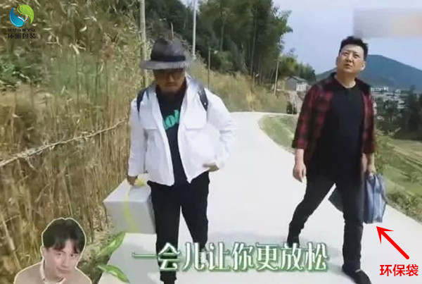 用无纺布环保袋的明星