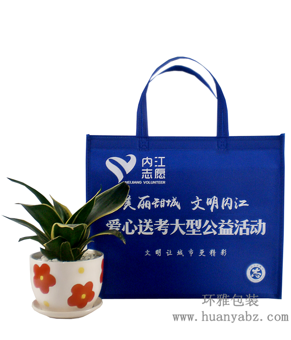 内江志愿环保袋图